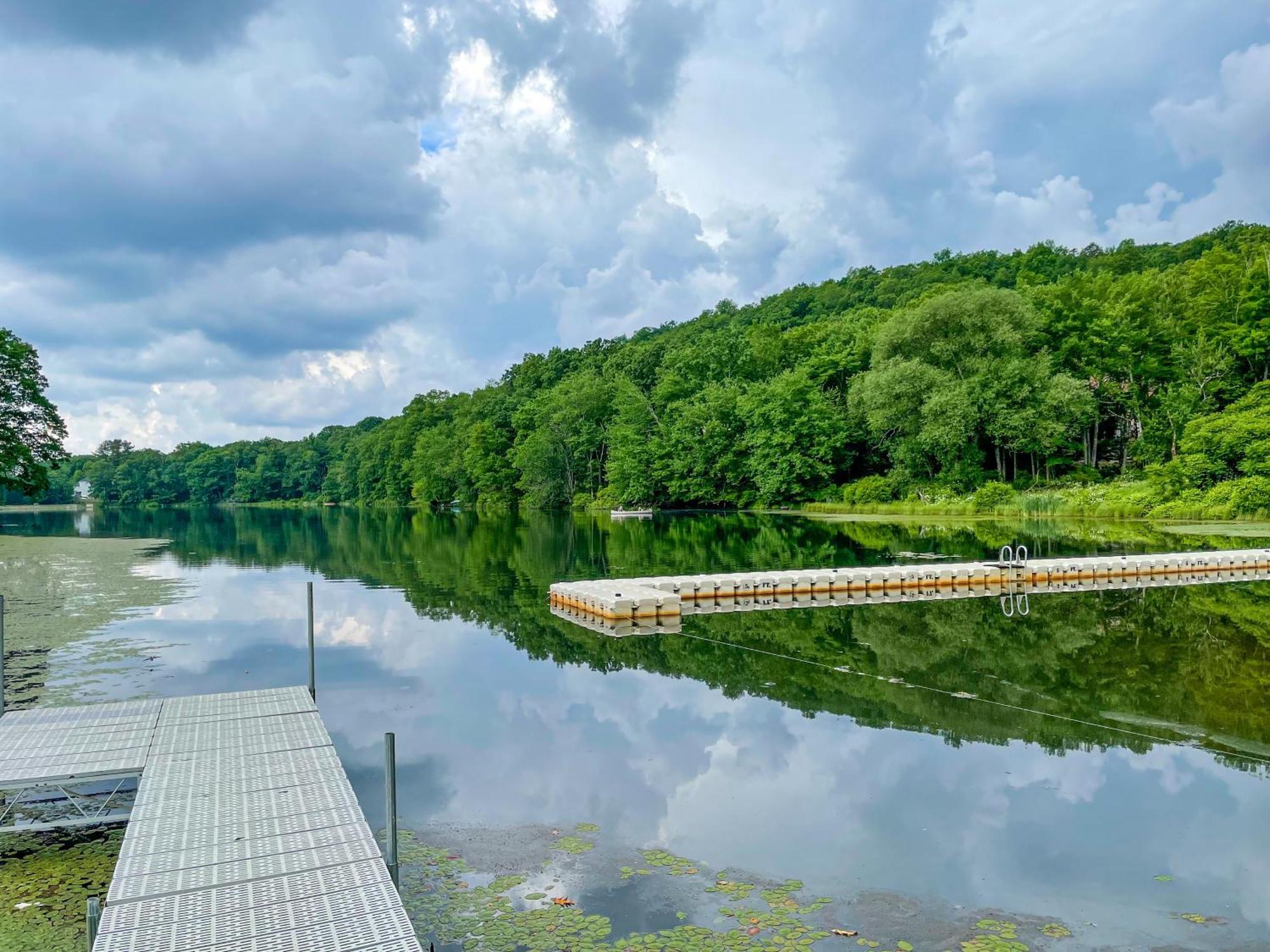 Premier Cozy Cabin - Free Amenities & Comm Indoor Pools Bushkill Eksteriør billede
